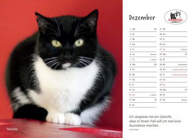 Kalender-Modell Nandia